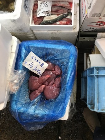 IMG_1060 IMG_1060-e1539493351674